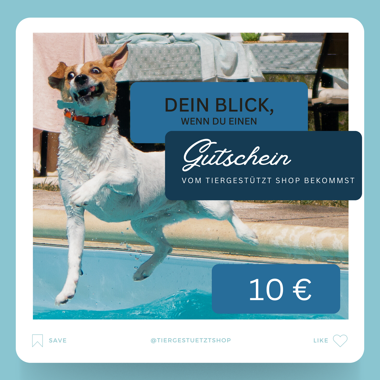 Gutschein Meme Design Hund springt mit Grimasse in den Pool