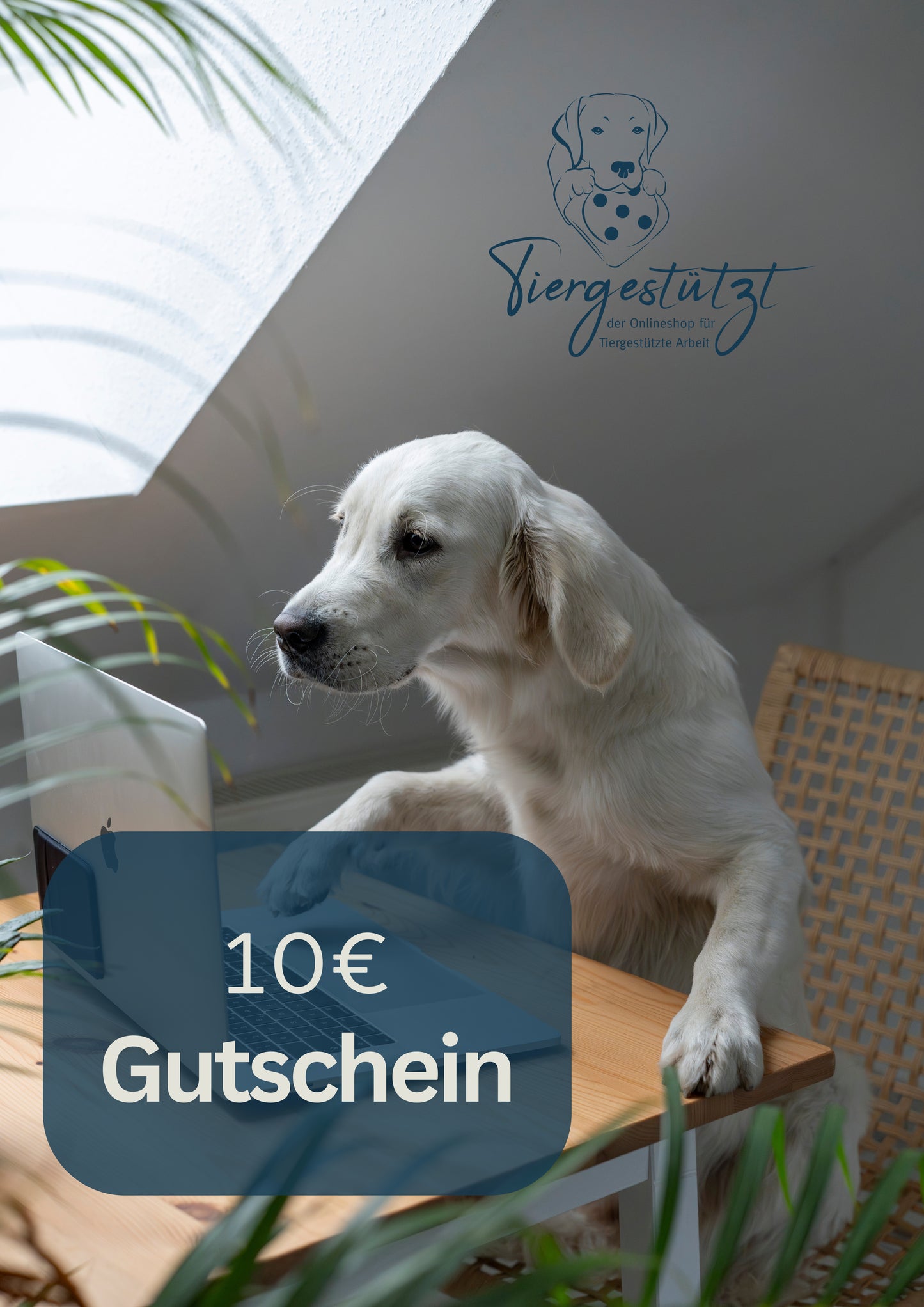 Gutschein Meme Design Hund arbeitet am Schreibtisch