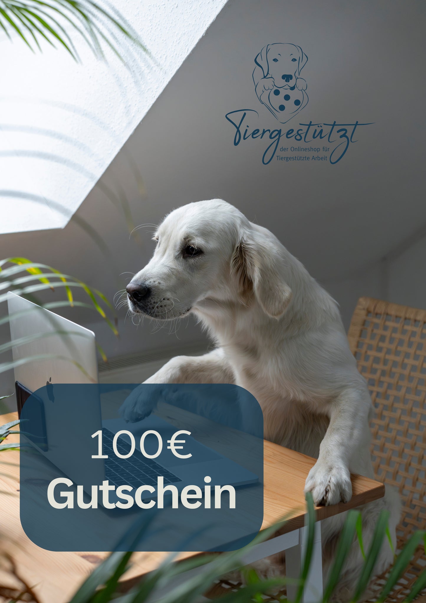 Gutschein Meme Design Hund arbeitet am Schreibtisch