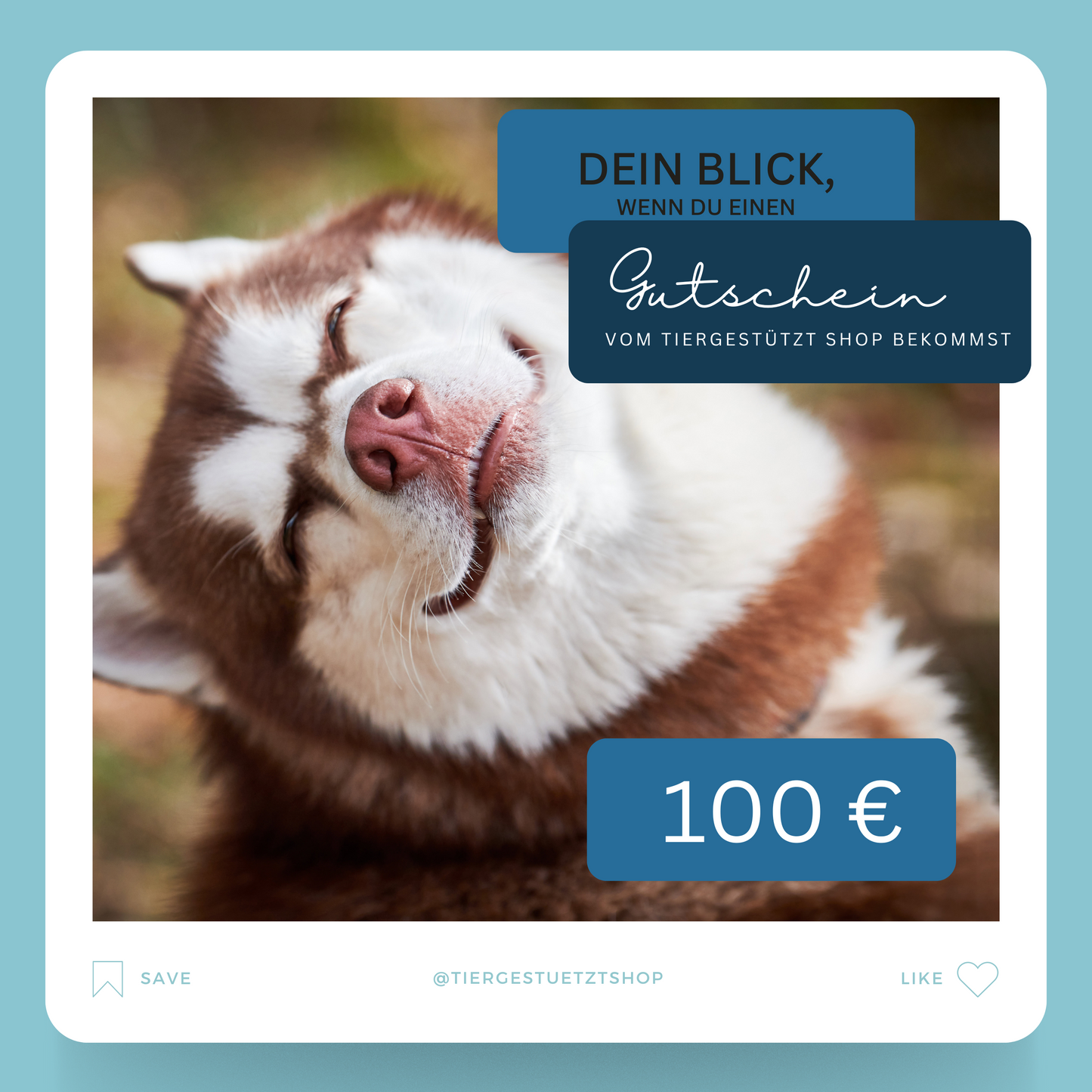 Gutschein Meme Design Hund lächelt Instagram Style