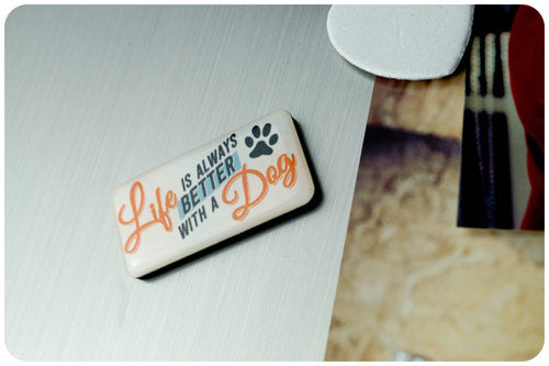 Magnet auf Metallplatte