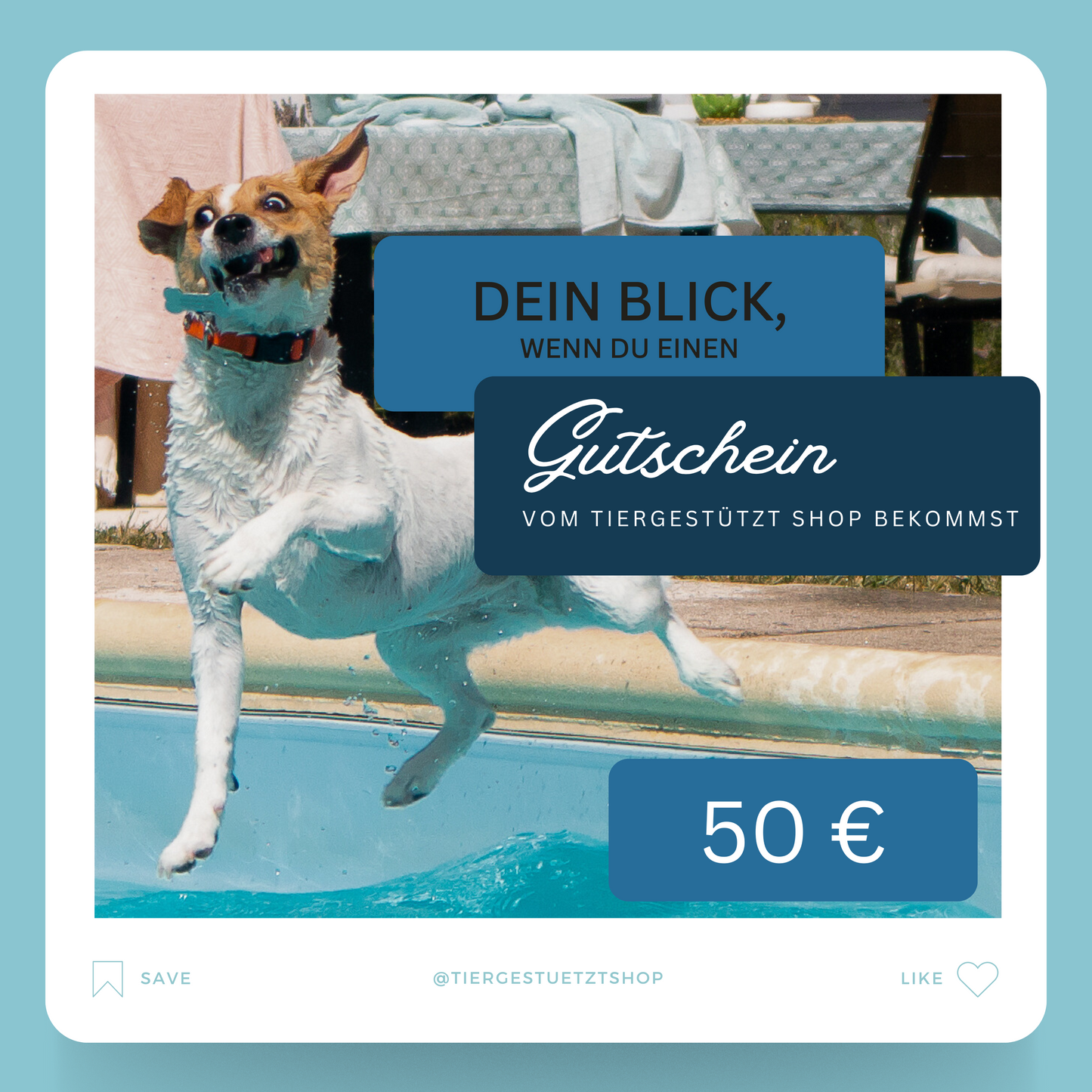 Gutschein Meme Design Hund springt mit Grimasse in den Pool