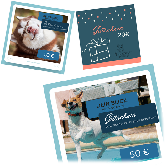 Gutschein Meme Design Hund im Pool Hund lächelt